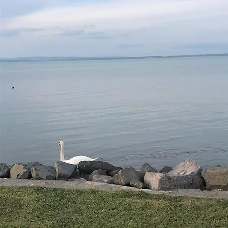 House For 6 Ppl At Balaton Holiday home Siofok