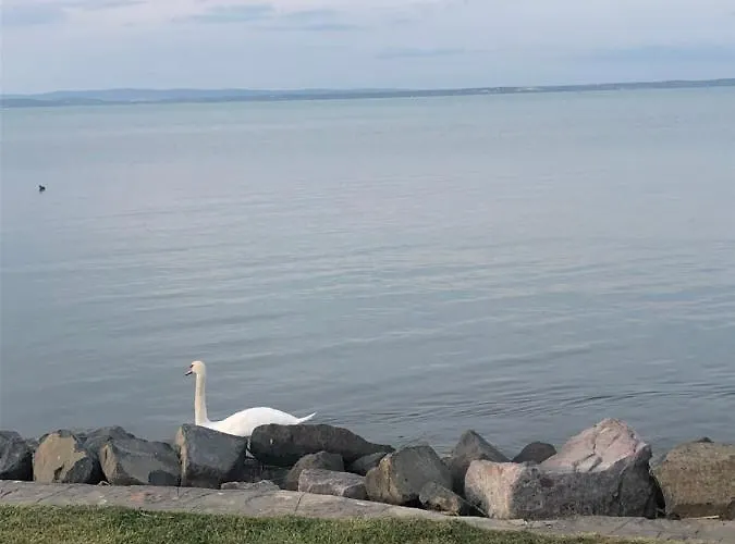 House For 6 Ppl At Balaton 펜션 시오포크